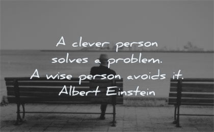 albert einstein quotes clever person solves problem wise avoids wisdom bench