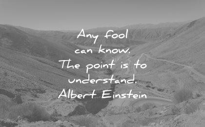 albert einstein quotes any fool can know the point understand wisdom