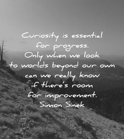curiosity quotes essential progress look worlds beyond simon sinek wisdom nature hike