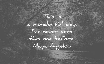 gratitude quotes this wonderful day never seen this before maya angelou wisdom