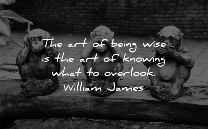 knowledge quotes art being wise knowing what overlook william james wisdom monkeys statues