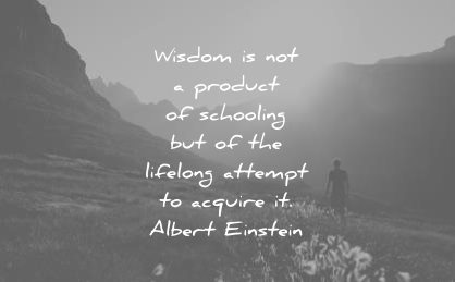 knowledge quotes product schooling lifelong attemps acquire albert einstein wisdom