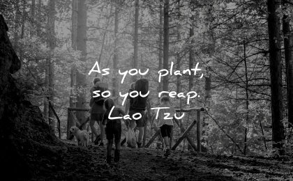 lao tzu quotes plant reap wisdom nature forest family walk