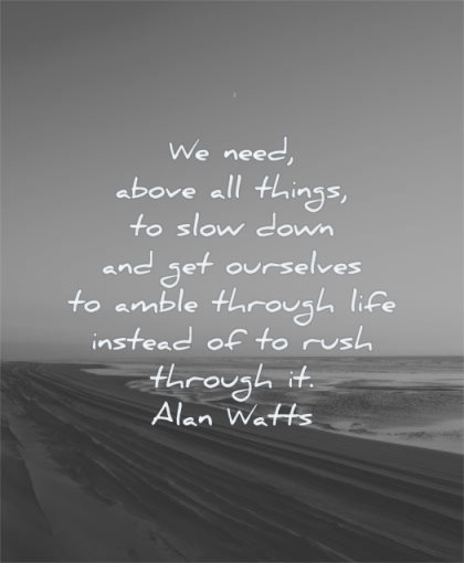 life changing quotes need above all things slow down get ourselves amble through instead rush alan watts wisdom beach sea