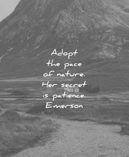 nature quotes adopt pace her secret patience ralph waldo emerson wisdom