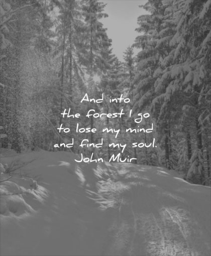 nature quotes into forest lose mind find soul john muir wisdom snow trees pines sun winter beautiful