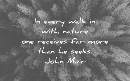 nature quotes every walk with one receives far more than seeks john muir wisdom