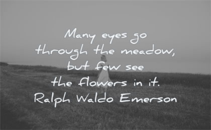 nature quotes many eyes through meadow few see flowers ralph waldo emerson wisdom woman walking fields
