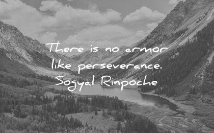 perseverance quotes there is no armor like sogyal rinpoche wisdom