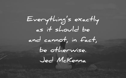 reality quotes everything exactly should cannot fact otherwise jed mckenna wisdom