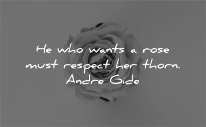 respect quotes wants rose must thorn andre gide wisdom