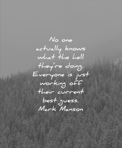 self esteem quotes actually knows hell they doing everyone just working off their current best guess mark manson wisdom nature tree pines inspirational