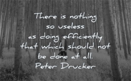 success quotes nothing useless doing efficiently which should not done peter drucker wisdom man forest