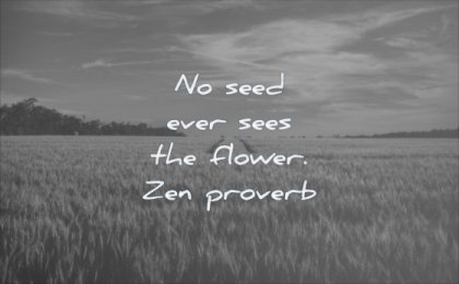 wisdom quotes seed ever seens flower zen proverb field sky clouds