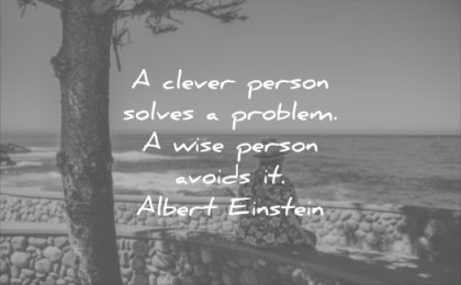 wise quotes clever person solves problem avoids albert einstein wisdom bench beach tree man relax