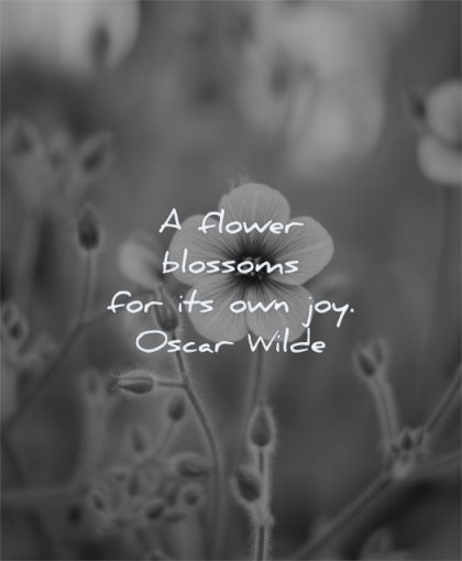 beautiful quotes flower blossoms own joy oscar wilde wisdom