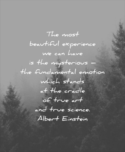 beautiful quotes most experience have mysterious fundamental emotion which stands cradle true art science albert einstein wisdom tree nature mist