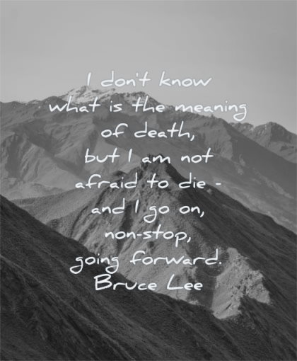 bruce lee quotes dont know what meaning death afraid die stop going forward wisdom mountains nature landscape