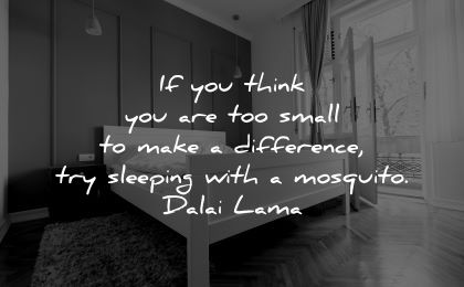 dalai lama quotes tenzin gyatso think small make difference sleeping mosquito wisdom bed