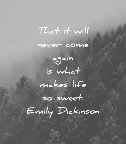 death quotes that will never come again what makes life sweet emily dickinson wisdom