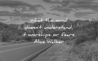 fear quotes what mind doesnt understand worships fears alice walkers wisdom road nature