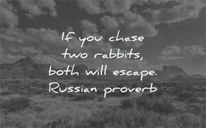 focus quotes chase two rabbits both escape russian proverb wisdom fields nature