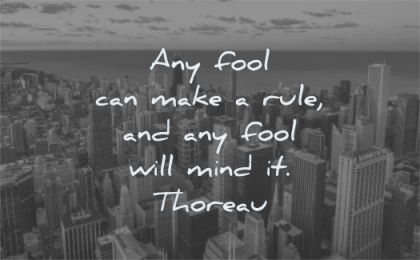 freedom quotes any fool can make rule will mind henry david thoreau wisdom city