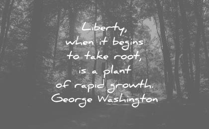 freedom quotes liberty when begins take root plant rapid growth george washington wisdom