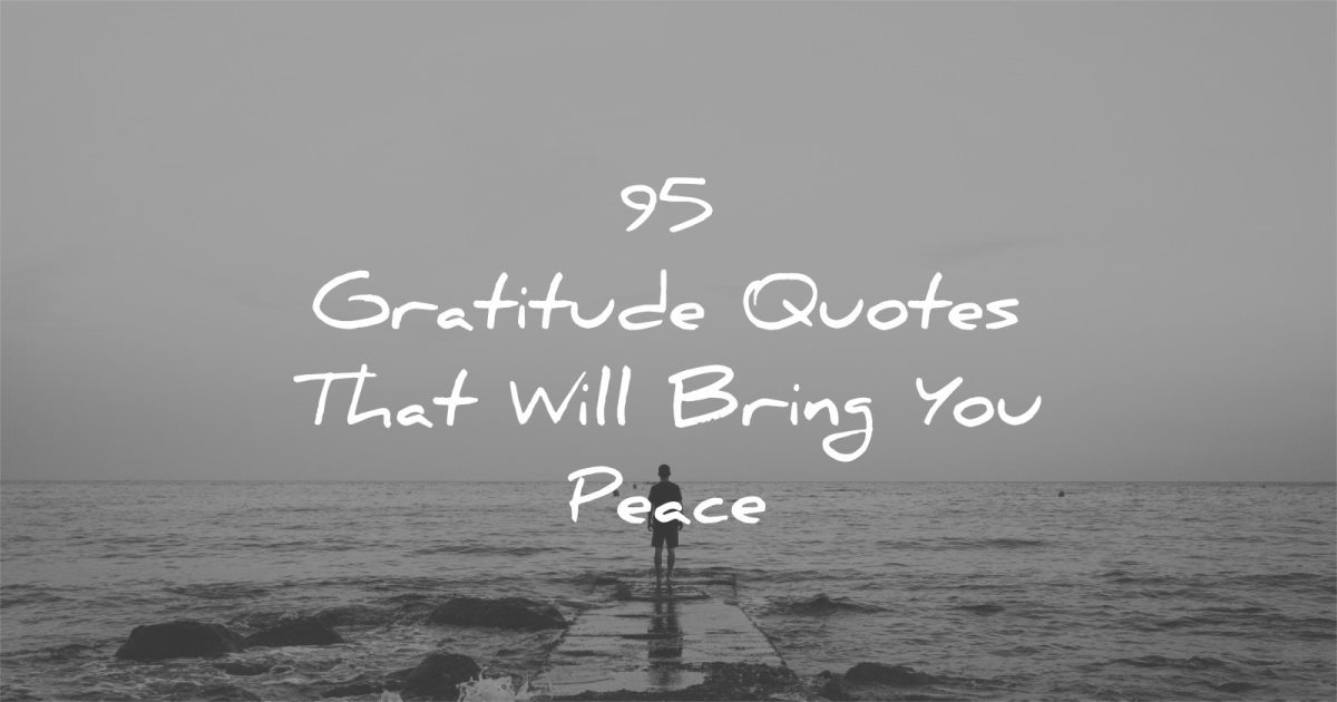 95 Gratitude Quotes That Will Bring You Peace
