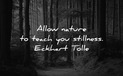 healing quotes allow nature teach stillness eckhart tolle wisdom forest path