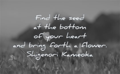 hope quotes find seed bottom your heart bring forth flower shigenor kameoka wisdom nature field