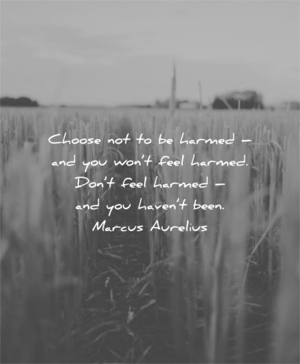 hurt quotes choose not harmed you wont feel dont havent been marcus aurelius wisdom