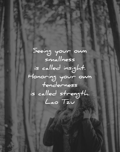 lao tzu quotes seeing your own smallness called insight honoring tenderness strength wisdom nature woman