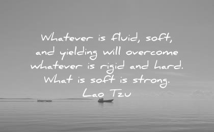 meditation quotes whatever fluid soft yielding will overcome rigid hard what strong lao tzu wisdom lake boat calm