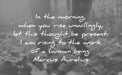 monday motivation quotes morning when you rise unwillingly this thought present rising the work human being marcus aurelius wisdom