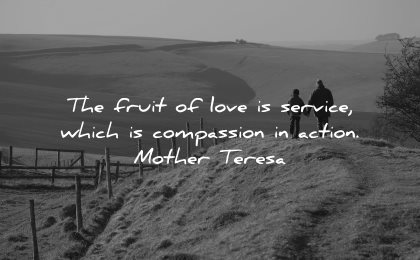 mother teresa quotes fruit love service compassion action wisdom
