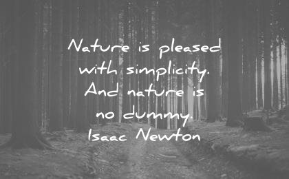 nature quotes pleased simplicity dummy isaac newton wisdom