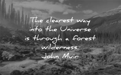 nature quotes clearest way into universe through forest wilderness john muir wisdom