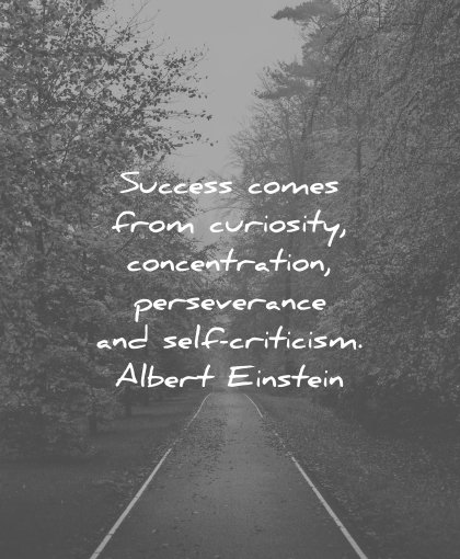 perseverance quotes success comes from curiosity concentration self criticism albert einstein wisdom