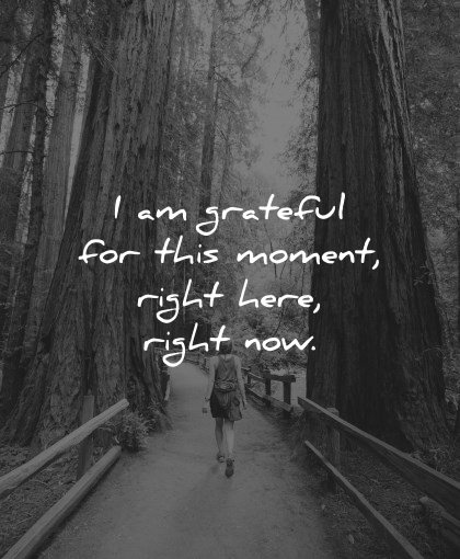 positive affirmations grateful this moment right here now wisdom nature trees path