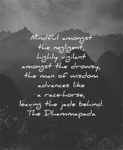 responsibility quotes mindful amongst negligent highly vigilant drowsy man advances dhammapada wisdom nature mountains