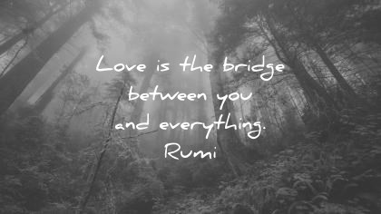 rumi quotes love is the bridge between you and everything wisdom quotes