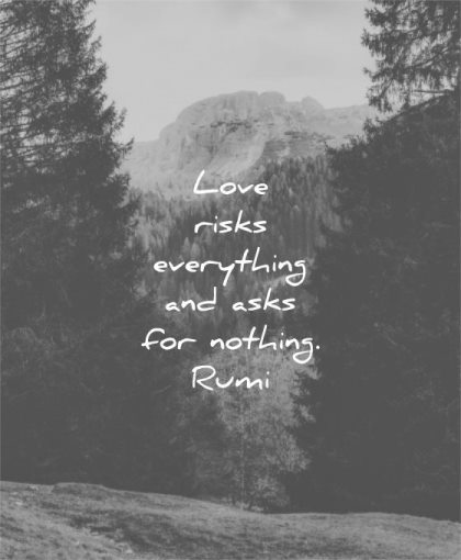 short love quotes risks everything asks for nothing rumi wisdom