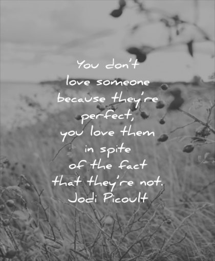 short love quotes you dont someone because they are perfect them spite fact that not jodi picoult wisdom