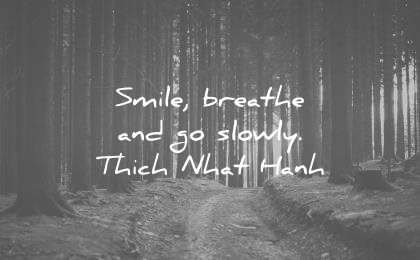 290 Smile Quotes That Will Make Your Day Beautiful