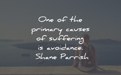 suffering quotes primary causes avoidance shane parrish wisdom